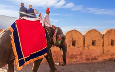 Discover the Royal Charms of Jaipur: Top 8 Tourist Destinations and the Grand Uniara Experience